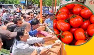 छत्तीसगढ़ के इस जिले में बिका 50 रुपये किलो में टमाटर, खरीदने टूट पड़े लोग....