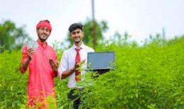 छत्तीसगढ़ में फसल बीमा अधिसूचना जारी, यह है बीमा कराने की अंतिम तारीख....