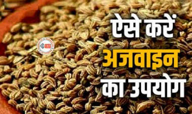 Benefits of Celery : भूख बढ़ाने से लेकर खाना पचाने तक अजवाइन है लाभदायक, साथ ही इन बिमारियों के लिए भी है मददगार, जाने इसके फायदें...