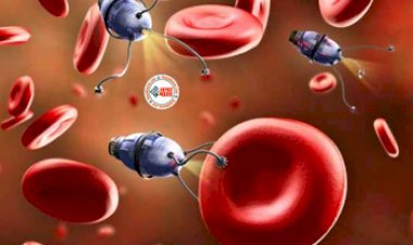 Nano Robot : अब बड़ी से बड़ी बीमारी का होगा खात्मा! यह रोबोट शरीर के अंदर घुसकर खुद ही बीमारी का कर देंगे इलाज, जल्द ही मानव शरीर में होगा टेस्ट...