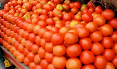 Tomato Price Hike : टमाटर हुआ और लाल,रेट ने तोड़ा रिकॉर्ड, जानिए टमाटर और सब्जियों की क्या है कीमत ?