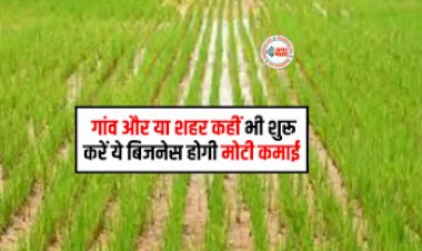 Business Ideas : गांव हो या शहर ये बिसनेस देंगे तगड़ा मुनाफा, कही से भी कर सकते है शुरुआत...