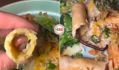 Fast Food Video: रेस्त्रां में शख्स ने मंगवाया स्प्रिंग रोल, अंदर से बिलबिलाते हुए निकला केंचुआ- देखें वीडियो...