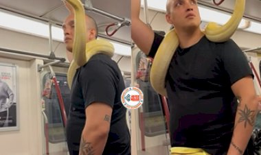 Metro Viral News: गले में खतरनाक सांप लपेटकर मेट्रो में घूमता दिखा शख्स, फिर जो हो गया हिल जाओगे- देखे वीडियो...