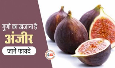 Fig Health Benefits : गुणों का खजाना है अंजीर,  कैल्शियम, विटामिन, फेनोल, ओमेगा से है भरपूर, जानें इसके चमत्कारी फायदे...