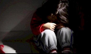 नर्सरी की छात्रा से सफाई कर्मी ने किया दुष्कर्म : हफ्तेभर मासूम बच्ची के साथ करता रहा घिनौनी हरकत, इस तरह हुआ हैवानियत का खुलासा....