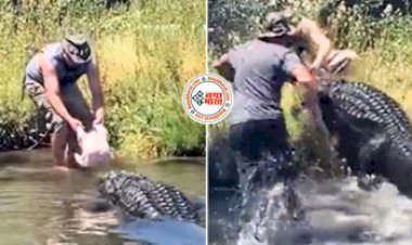Crocodile Attack: खाना खिलने गये शख्स को ही दबोचने लगा खतरनाक मगरमच्छ, फिर जो हुआ, नज़ारा देख उड़ जायेंगे होश- देखें वीडियो...