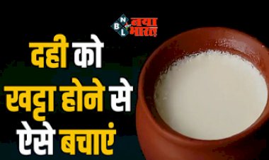 Prevent Yogurt From Getting Sour : जल्दी खट्टा हो जाता है दही! करें ये उपाय हफ्तेभर तक रहेगा फ्रेश, इन बातों का रखें ध्यान...