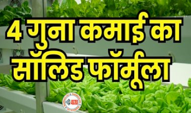 Money Making Tips Business Idea : मालामाल कर देगा खेती का यह जुगाड़, 1 एकड़ के खेत में 5 एकड़ की फसल और कमाई, जाने जुगाड़...