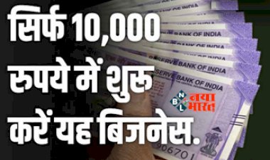Business Ideas : सिर्फ 10 हजार के छोटे निवेश के साथ शुरू करें ये बिसनेस, होगा तगड़ा मुनाफा, सरकार भी करेगी मदद...