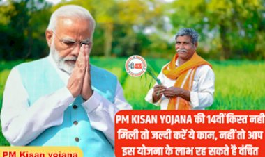 PM Kisan yojana :  पीएम किसान योजना की 14वीं किस्त नहीं मिली, तो जल्दी करें ये जरुरी काम, वरना योजना के लाभ से रह जायेंगे वंचित...