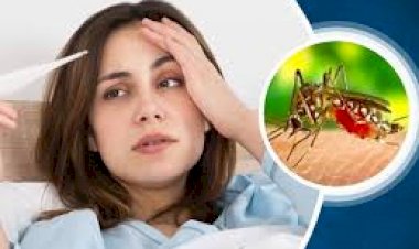 CG ब्रेकिंग : आई फ्लू के बाद इस बीमारी ने दी दस्तक,  BSF के 5 जवान भी आए चपेट में, स्वास्थ्य विभाग ने जारी किया अलर्ट ...