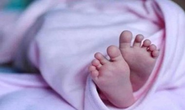 CG News : राजधानी के इस अस्पताल में डॉक्टर्स ने जिंदा बच्ची को बताया मृत, दफन करने मंगाया कफन, पॉलिथिन में पैक करते समय अचानक शरीर में हुई हलचल, अस्पताल में मचा बवाल, जानिए क्या है पूरा मामला...