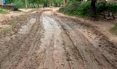 अपनी मूलभूत समस्याओं के लिए जूझ रहा मस्तूरी ब्लाक का यह पंचायत जाने आखिर ऐसी कौन सी समस्या है जिसके लिए पिछले 4 साल से सरपंच काट रहे सरकारी कार्यालयों के चक्कर पढ़ें पूरी खबर