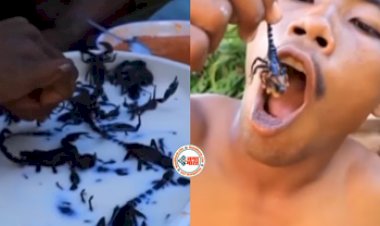Man Started Eating Scorpion Alive: खतरनाक बिच्छू को जिन्दा चबा-चबाकर खाने लगा शख्स, नज़ारा देख हैरान रह जायेंगे आप- देखें वीडियो...