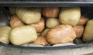 CG पुलिस की गांजा तस्करी पर बड़ी कार्यवाही : 50 लाख का गांजा पकड़ाया, शातिर तरीके से हो रही थी गांजा की तस्करी, नशे के सौदागर गिरफ्तार...गांजा छिपाने का तरीका जान हो जाएंगे हैरान...