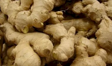 Vegetables Price Hike : छत्तीसगढ़ में टमाटर के बाद अब इस सब्जी के दाम सुनकर लोग हुए लाल ....