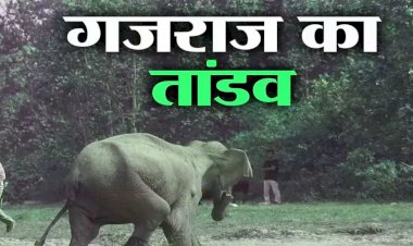 CG News : गजराज बने यमराज, खेत में काम कर रहे किसान पर किया हमला, एक की मौत, दूसरा घायल....
