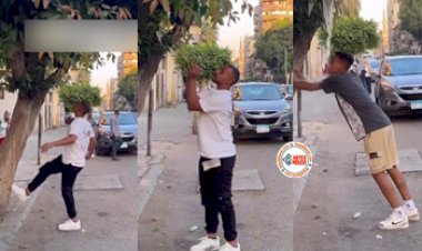 Prank Viral News: जैसे ही शख्स ने पेड़ पर मारी लात, ऊपर से गिराने लगा शख्स, फिर जैसे ही दुसरे लड़के ने किया कोशिश, फिर जो हुआ..- देखे विडियो...