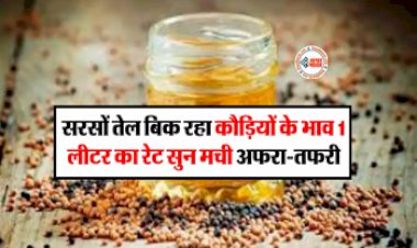 Mustard Oil Price Update : धड़ाम से गिरा सरसों तेल का भाव, 1 लीटर तेल की कीमत हो गई सिर्फ इतनी, यहाँ देखे नए रेट...