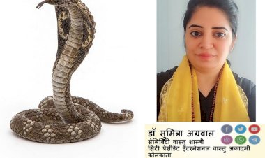 नागपंचमी जानते है वास्तु शास्त्री डॉ सुमित्रा से क्या करे कालशर्प योग के जातक...