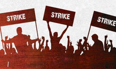 Health Workers strike : छत्तीसगढ़ में इन मांगों को लेकर अनिश्चितकालीन हड़ताल पर स्वास्थ्य कर्मचारी,  दी ये चेतावनी....