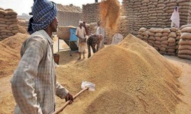 CG में किसानों की बल्ले बल्ले, लो आ गई धान खरीदी की तारीख, जानिए मंत्री चौबे ने बयान जारी कर क्या कहा .....