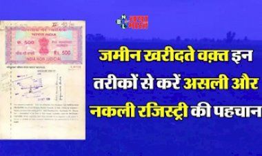 Property Check : ऐसे पहचानें असली-नकली रजिस्ट्री! कोई नहीं दे पाएगा धोखा, ये है आसान तरीका...