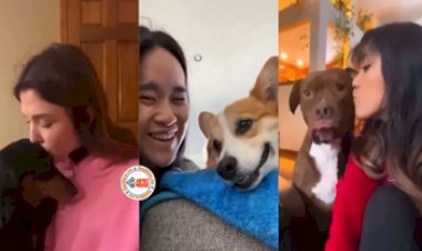 Dog Hugs Woman: महिला को डॉग ने ऐसे लगाया गले, नज़ारा देख लोगों ने दिया ऐसा रिएक्शन- देखें वीडियो...