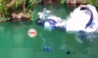 Fish Viral Video: मछली पकड़ रहा था शख्स! तभी काटे में फस गई इतनी बड़ी मछली, नज़ारा देख दंग रह जायेंगे आप...
