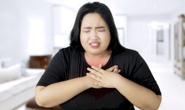 Obesity Side Effects : क्या मोटे लोगों को होता है हार्ट अटैक का ज्यादा खतरा, जानिए क्या कहती है ये रिपोर्ट....