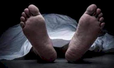 CG ब्रेकिंग : रायपुर के इस नामी अस्पताल में मरीज ने दूसरी मंजिल से कूद कर की आत्महत्या, शव को पोस्टमार्टम के लिए किया रवाना......