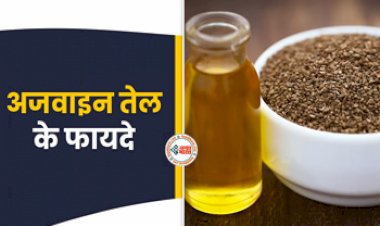 Celery is Very Beneficial : अजवाइन तेल कई तरह की बीमारियों से दिलाता है निजात, इस तरह करें इस्तेमाल...