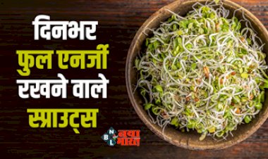 Sprouted Food Health Benefits : बहुत Healthy होते हैं स्प्राउट्स फ़ूड, दिनभर एनर्जी से फुल रहेगा शरीर और कंट्रोल रहेगा डायबिटीज व कोलेस्ट्रॉल, आज ही अपने डाइट में करें शामिल...