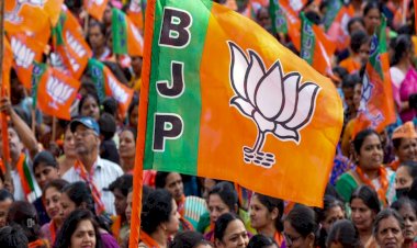 CG ELECTION : भाजपा की 69 सीटों के लिए इन नमों पर मुहर लगनी तय! देखिए किस सीट से कौन होगा उम्मीदवार