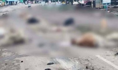CG Accident ब्रेकिंग : काल बनकर आया तेज रफ्तार वाहन, मवेशियों को रौंदा, हादसे में 9 मवेशियों की दर्दनाक मौत, लाशों से बिछी सड़क......