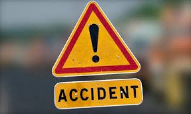 CG BIG ACCIDENT : गाड़ी पलटने से 10 ग्रामीण घायल, जा रहे थे बीजेपी की परिवर्तन यात्रा में शामिल होने