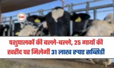 Govt Subsidy on Nandini Krishak Samridhi Yojana : बड़ी खुशखबरी! अब 25 गायों की खरीद पर मिलेगी 31 लाख रुपये की सब्सिडी, जाने योजना की शर्तें और नियम...