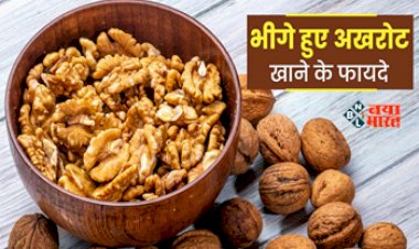 Soaked Walnuts Benefits for Health : रोज खाएं भीगे हुए अखरोट, शरीर की इन बिमारियों से मिलेगा छुटकारा, पोषक तत्वों से होता है भरपूर...