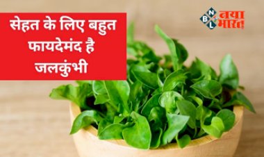 Jalkumbi Health Benefits : काजू-बादाम छोड़िये, आज ही शुरू करें इस पत्ते का सेवन, शरीर में फूंक देगा जान...