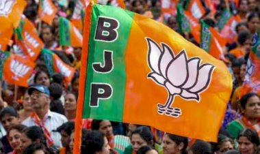 CG Politics :  7 घंटे तक चली भाजपा की मैराथन बैठक, जानिए कब आएगी BJP की दूसरी लिस्ट...