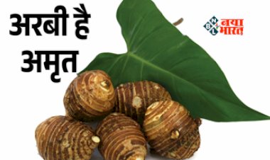 Surprising Benefits of Taro Root : जमीन के नीचे उगने वाली ये चीज है अमृत, ब्लड शुगर करे कंट्रोल, शारीर में बूस्ट होगी इम्यूनिटी, इन बिमारियों से मिलेगी राहत...