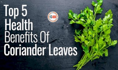 Coriander Leaves Water Benefits : रोज खाली पेट इन हरी पत्तियों के पानी का करें सेवन, कोलेस्ट्रॉल, ब्लड प्रेशर रहेगा कण्ट्रोल, इन गंभीर बीमारियों से मिलेगा राहत...