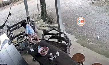 King Cobra Viral News: खाना बना रही थी महिला, तभी पर टूट पड़ा 12 फीट का किंग कोबरा, फिर जो हुआ...- देखें विडियो...