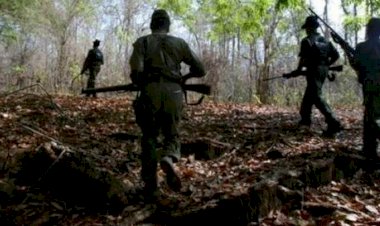 CG ब्रेकिंग  : आइईडी ब्लास्ट की चपेट में आने से कोबरा जवान शहीद,इंस्पेक्टर की हालत गंभीर,सर्चिंग ऑपरेशन जारी…