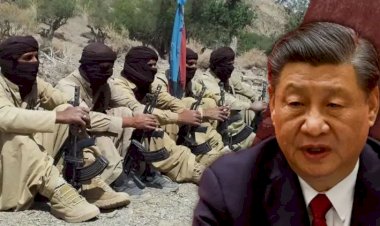 बलूचिस्तान लिबरेशन आर्मी से डरा ड्रैगन चीन! अब पाकिस्तान को मदद से इनकार।