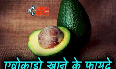Avocado: दिल से लेकर स्किन के लिए फायदेमंद है एवोकाडा, रोजाना डाइट में जरूर करें शामिल...