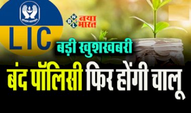 LIC Special Revival Campaign : बड़ी खुशखबरी! फिर चालू होगी एलआईसी की ये बंद पॉलिसी, मिलेगी 30% छूट...