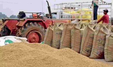 CG में इस तारीख से शुरू होगी धान खरीदी : प्रदेश के विभिन्न जिलों में खुलेंगे इतने नवीन धान उपार्जन केंद्र, जानें क्या है धान खरीदी को लेकर तैयारी....