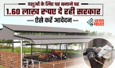 MGNREGA Pashu Shed Yojana : बड़ी खुशखबरी! पशु शेड बनाने के लिए सरकार देगी 1 लाख 60 हजार रुपए, ऐसे उठायें फायदा, यहाँ जाने आवेदन प्रक्रिया...